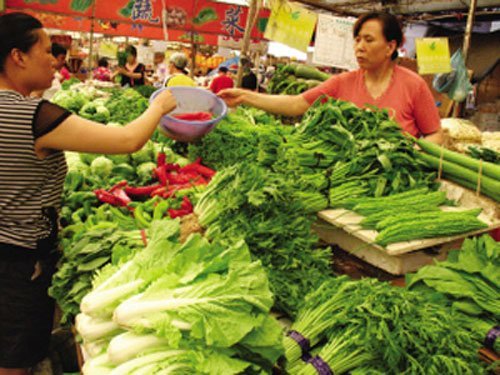 <b>��������</b>